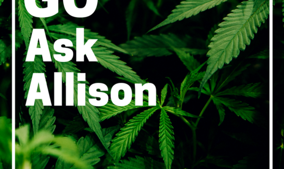 GO ASK ALLISON – FEDERAL PROTECTIONS & ASSET FORFEITURE
