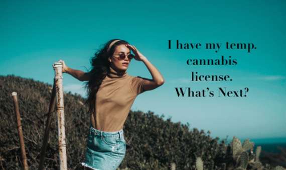 WHAT HAPPENS AFTER THE TEMPORARY CANNABIS LICENSE?
